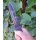 Cudeman Black Lion ACX 380 Stahl Gummigriff Cordurascheide