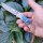 Albainox Blue Lago Damastmesser mit Triple-Material Griff Taschenmesser