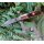 Rough Ryder Desert Fox Barlow Micarta