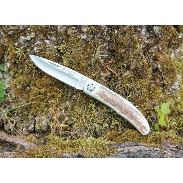 Joker Setter MoVa Horn Braun Made in Spain