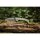 Cold Steel 5-Max SV35VN Lockback OD Green