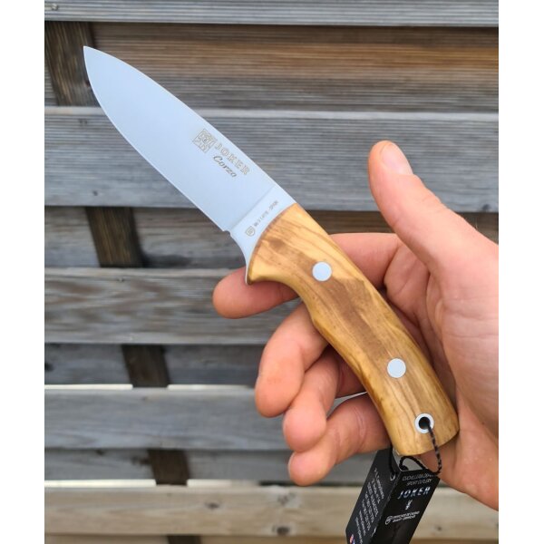 Joker Corzo Blade Olivenholz CO25 inkl. Lederscheide 1.4116 Stahl
