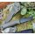 Peltonen Knives Ranger Puukko M07 Kunststoffscheide OD Green