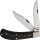 Rough Ryder Black Reserve Bearhead Saddle Horn Pakkawood RR2571 Doctor Knife Sammlernbox