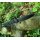 Real Steel Perix G10 All Black Nitro-V