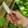 Condor Sport Campfire Knife Bushcraft