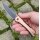 Real Steel Sylph Bronze PVD Linerlock Folder