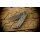 Spartan Blades SF5 Custom Magna Cut Harsey Folder - DiVinci 2023
