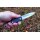 SRM Knives Qrick 408L-KB Hidden Flipper 14C28N Stahl G10 / Carbon