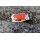 Midgards Utgard Nano Folder Orange CPMD2