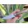 Real Steel Dex Micarta Natural & Green