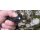 Sanrenmu "The Violet" Messer 4101 Neck Knife 12C27 Stahl ABS Scheide LED Lampe B