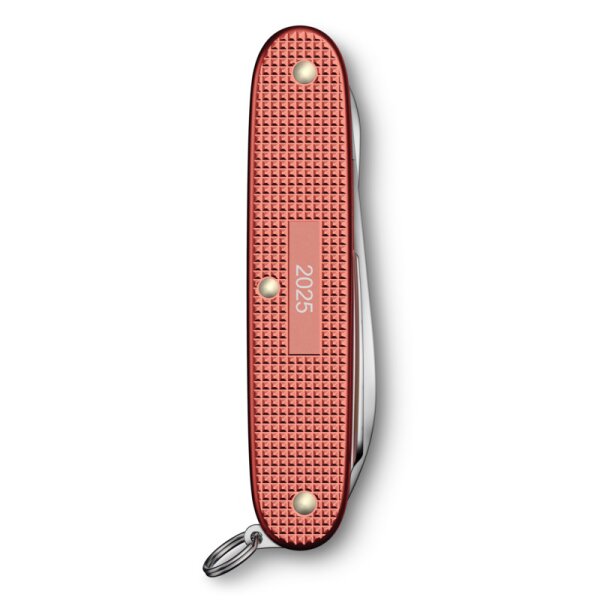 Victorinox Pioneer X Alox Limited Edition 2025 Stone Red