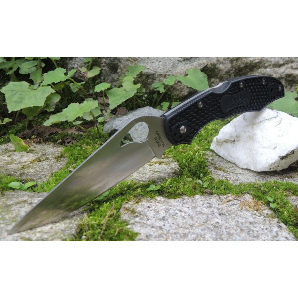 Spyderco Cara Cara 8Cr13MoV Stahl FRN  Schwarz 01SP1003PBK