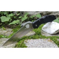 Spyderco Cara Cara 8Cr13MoV Stahl FRN  Schwarz 01SP1003PBK