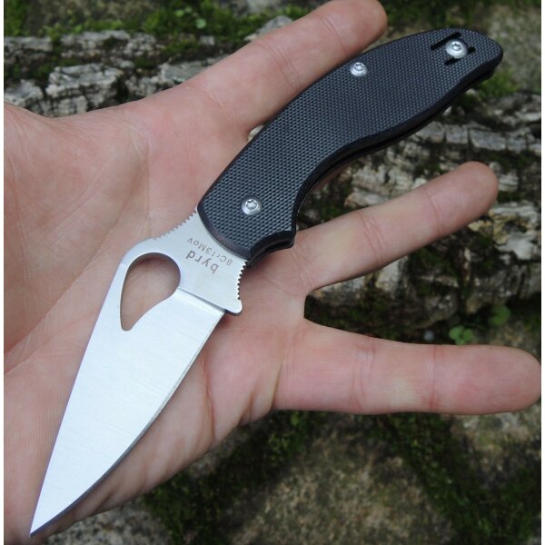 Byrd Spyderco Tern 8Cr13MoV Stahl G10 Schwarz black 01SP2300GP