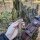 J&V Forester Knives Anubis Carbonstahl Chopo stabilisierter Holzgriff inkl. Lederscheide braun Handmade