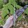 J&V Forester Knives Anubis 1.4116 Stahl Chopo stabilisierter Holzgriff inkl. Lederscheide braun Handmade
