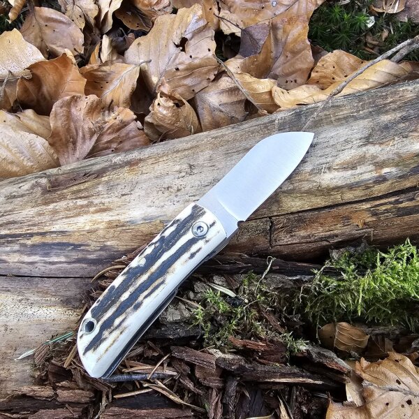 J&V Beluga XS Ciervo Hirschhorn Horn mini Taschenmesser 14C28N Stahl Linerlock