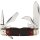 Rough Ryder Rider Tiger Stripe Scout Knife Taschenmesser mit Knochengriff Bone Knochen Messer RR2220