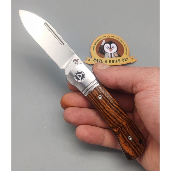 QSP Knife Hedgehog QS142SP-B Spearpoint Bocoteholz