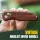 Kizer Drop Bear Nitro-V Stahl Holzgriff Clutch Lock