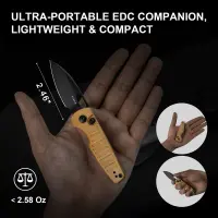 Kizer Parakeet Nitro-V Stahl Micarta Button Lock