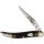 Rough Ryder Rider Limited Edition 30th Anniversary Lil Toothpick Slipjoint Taschenmesser in Sammlerdose
