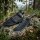 WithArmour Professional Cherub Camp Knife 12C27N Stahl G10