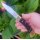 BUCK KNIVES FOLDING HUNTER 110 Messer Taschenmesser Backlock 420HC Stahl Etui