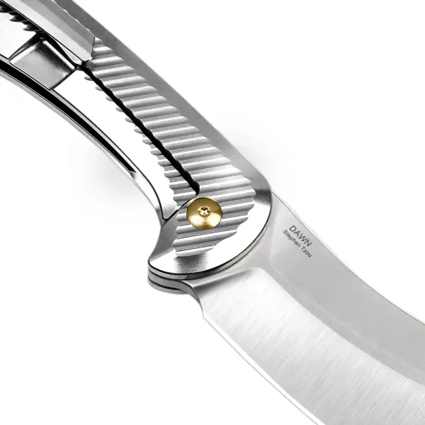 Kizer Dawn Framelock Taschenmesser S35VN Stahl Titan