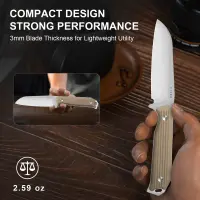 Kizer Begleiter Fix Outdoormesser AEB-L Stahl G10 Coyote