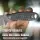 Kizer Hare Fixed Blade Nitro-V Stahl Micarta + G10 EDC