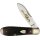 Rough Ryder Rider 30th Anniversary Teardrop Jack Limited Edition zum 30. Jubiläum in Sammlerbox Taschenmesser mit braunem Knochen RR2628