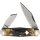 Rough Ryder Rider Swell Center Jack Cinnamon Bone Knochen mit 2 Klingen aus Damast Inlay