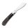 RoseCraft Blades Mill Creek Cotton Sampler D2 Stahl Slipjoint Sandelholz