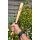 FOX OUTDOOR Micro Baseball Bat Baseballschläger Holz naturfarben 15" // 38 cm