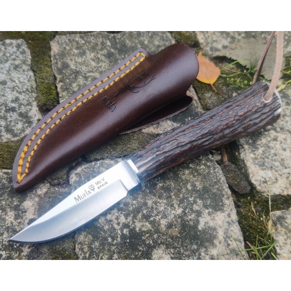 Muela BW-6A Hirschhorn Griff Lederscheide Jagdmesser