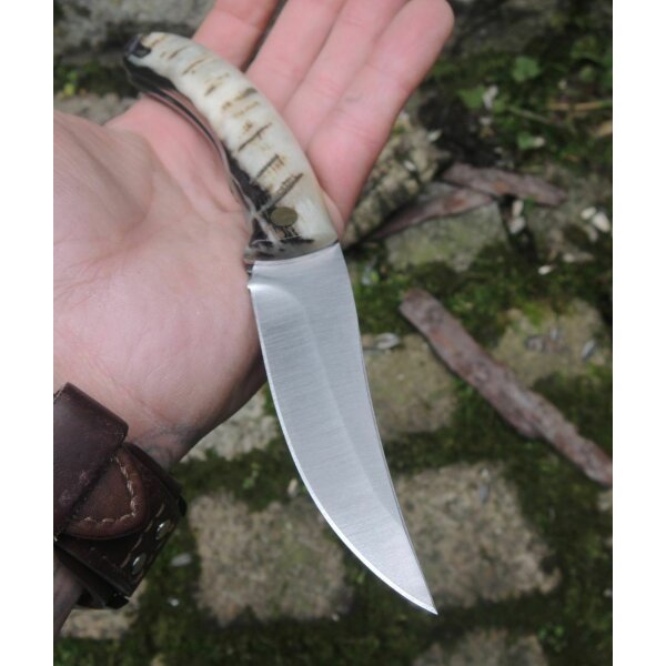 Cudeman Cazorla Widderhorn Carnero 12C27 Horn Mehrfarbig