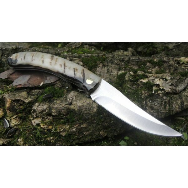 Cudeman Cazorla Widderhorn Carnero 12C27 Horn Mehrfarbig