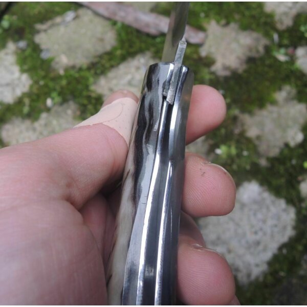 Cudeman Cazorla Widderhorn Carnero 12C27 Horn Mehrfarbig