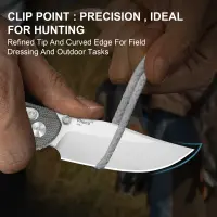 Kizer Phoca CC Clutch Lock Folder AEB-L Stahl Norplex...