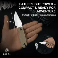Kizer Drop Bear Fixed Blade AEB-L Stahl G10 EDC