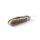 OTTER 166 Hirschhorn - klassiches Taschenmesser mit Horn und Carbonstahl Slipjoint Made in Solingen Germany Barlow Style