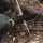 Kizer Sheepdog Survival Fahrtenmesser 1095 Stahl G10 Schwarz