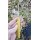 Fox Outdoor Messer Skeleton Kydexscheide G10 Griff 3Cr13 Stahl