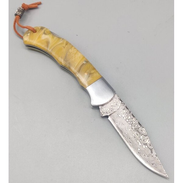 Albainox Damast Messer 73 Lagen Acrylgriff