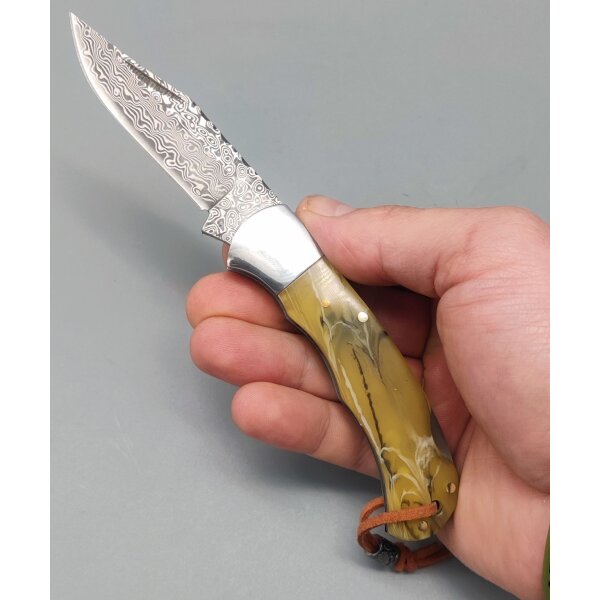 Albainox Damast Messer 73 Lagen Acrylgriff