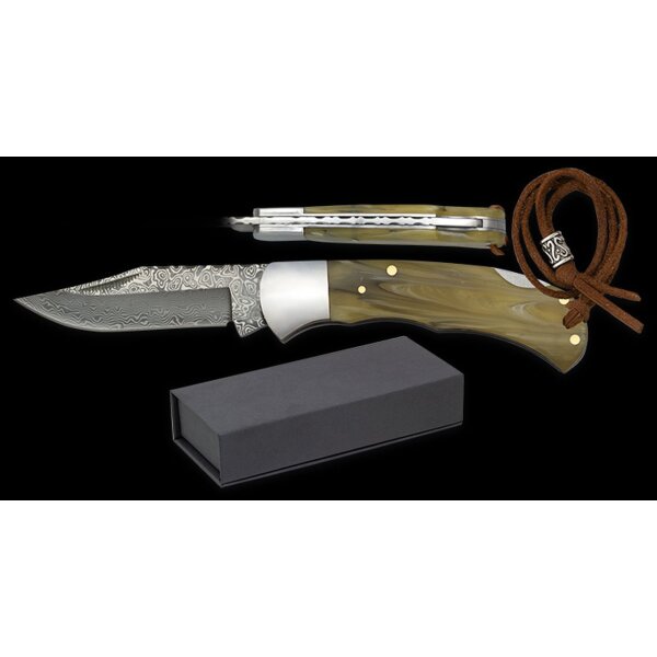 Albainox Damast Messer 73 Lagen Acrylgriff