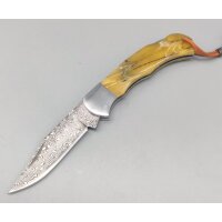 Albainox Damast Messer 73 Lagen Acrylgriff
